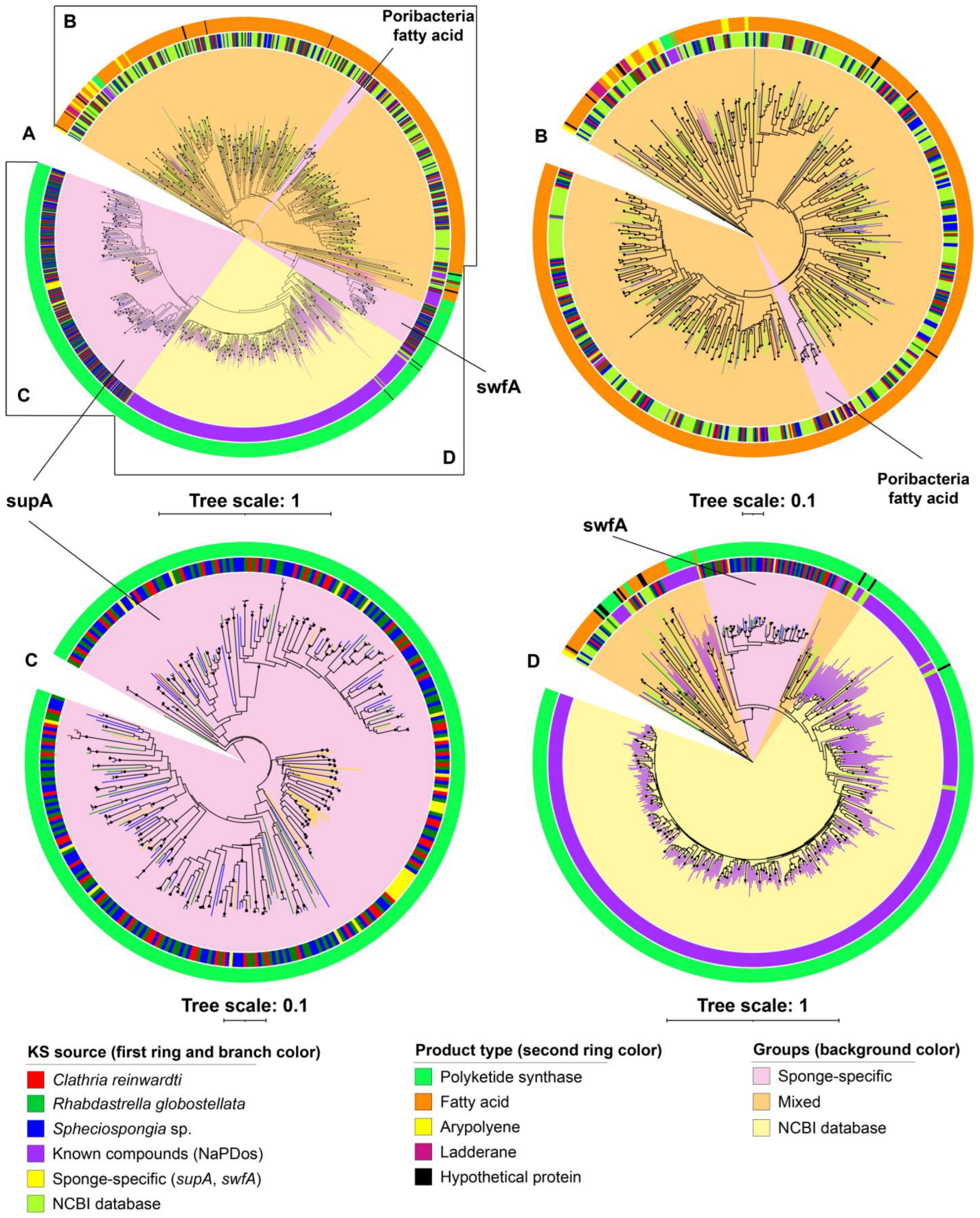 Sự đa dạng của các cụm gen sinh tổng hợp chuyển hóa thứ cấp của vi khuẩn liên kết với hải miên biển Việt Nam